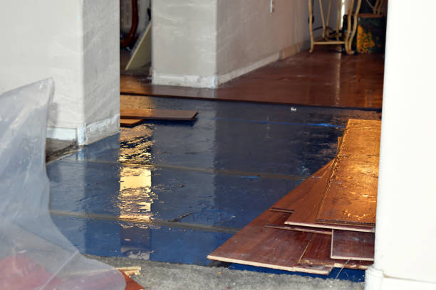 Professional Water Damage Restoration technician working in Gratis, OH